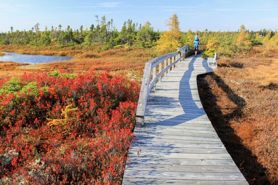 Randonnées aux couleurs de l’automne au NouveauBrunswick ExploreNB